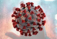 WHO calls for further studies, data on origin of SARS-CoV-2 virus, reiterates that all hypotheses remain open