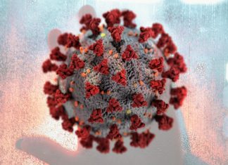 WHO calls for further studies, data on origin of SARS-CoV-2 virus, reiterates that all hypotheses remain open